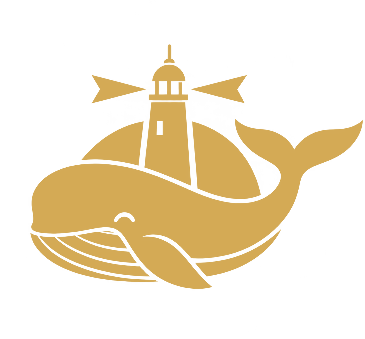 Maldonado Guía